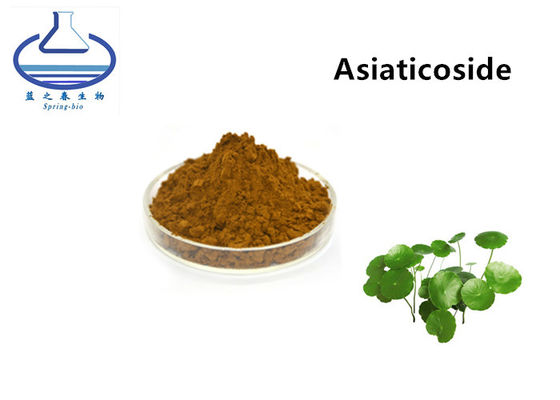 Spring bio Gotu Kola Extract Powder , 40% 80% 90% gotu kola leaf extract