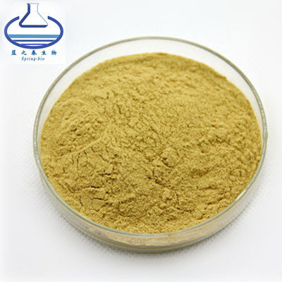 Mangiferin 95% Mango Extract Powder CAS 4773-96-0 Food Grade