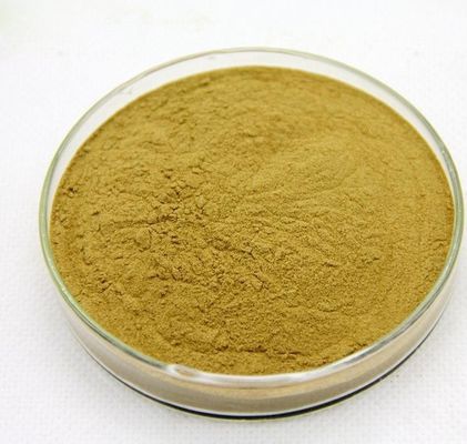 Yellow Powder Curcumin vine tea extract  of Pure Plant Extracts